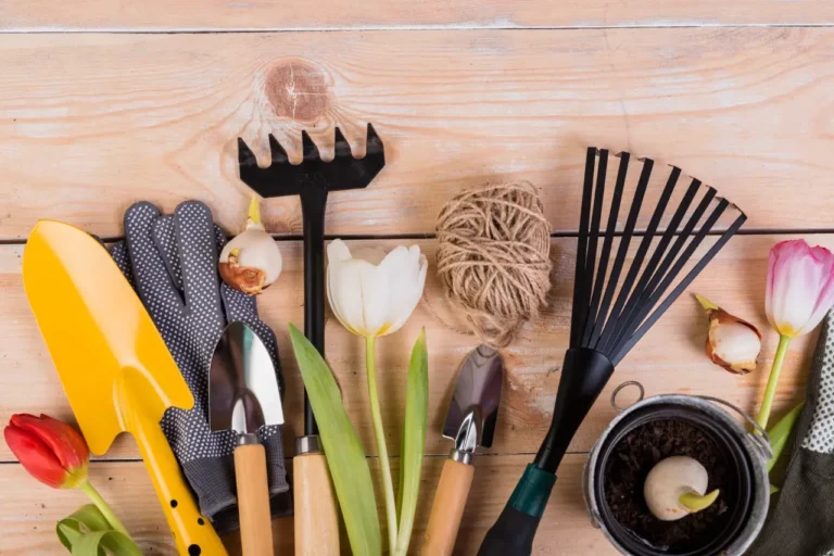 Best Home Garden Tools